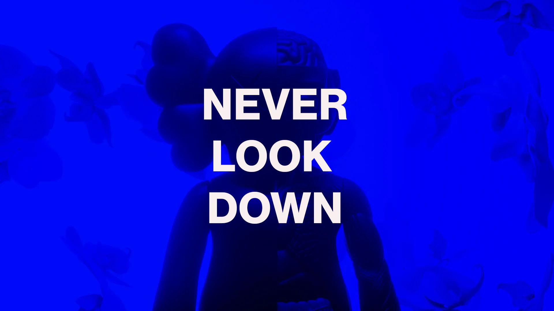 Never Look Down